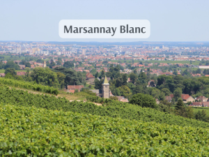 Marsannay Blanc (800 x 600 px)